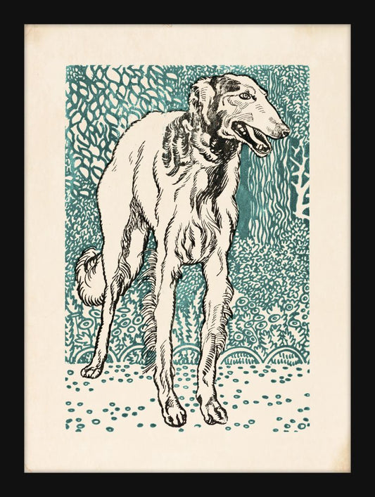 Jung's Long-Haired Greyhound