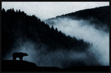 Bear in the Mist