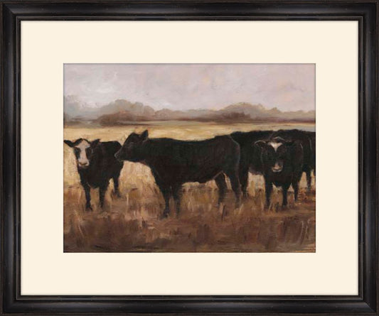 Black Cows I
