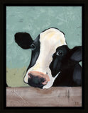 Holstein III