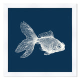 Goldfish in Blue Reverse