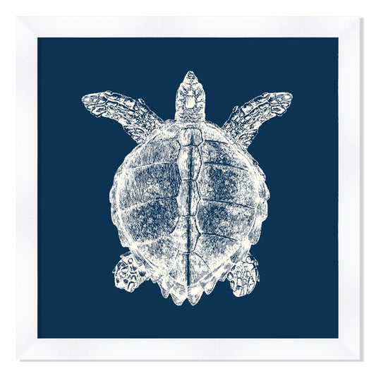 Turtle in Blue Reverse