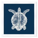 Turtle in Blue Reverse