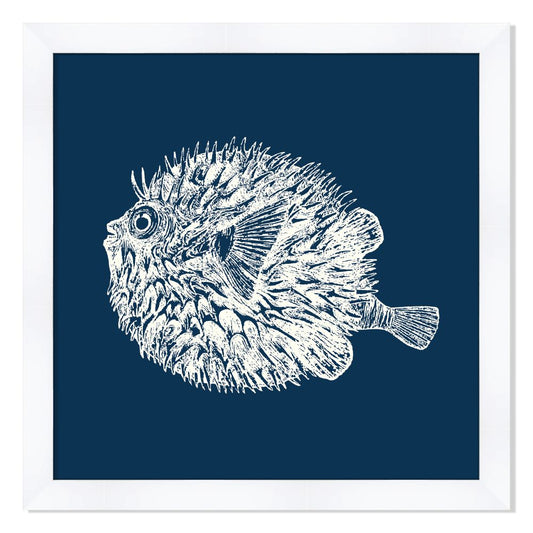 Blowfish in Blue Reverse