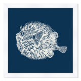 Blowfish in Blue Reverse
