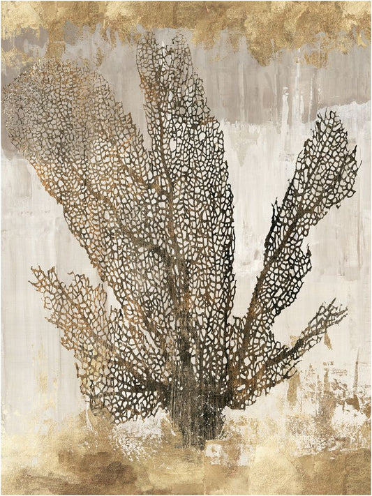 Coral Splendor I in Boxed Canvas