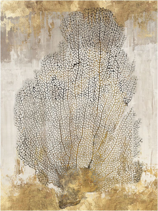 Coral Splendor II in Boxed Canvas