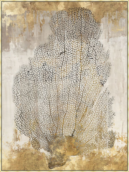 Coral Splendor II in Canvas