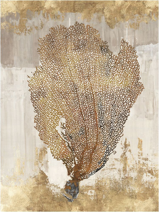 Coral Splendor III in Boxed Canvas