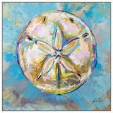 Sand Dollar on Canvas