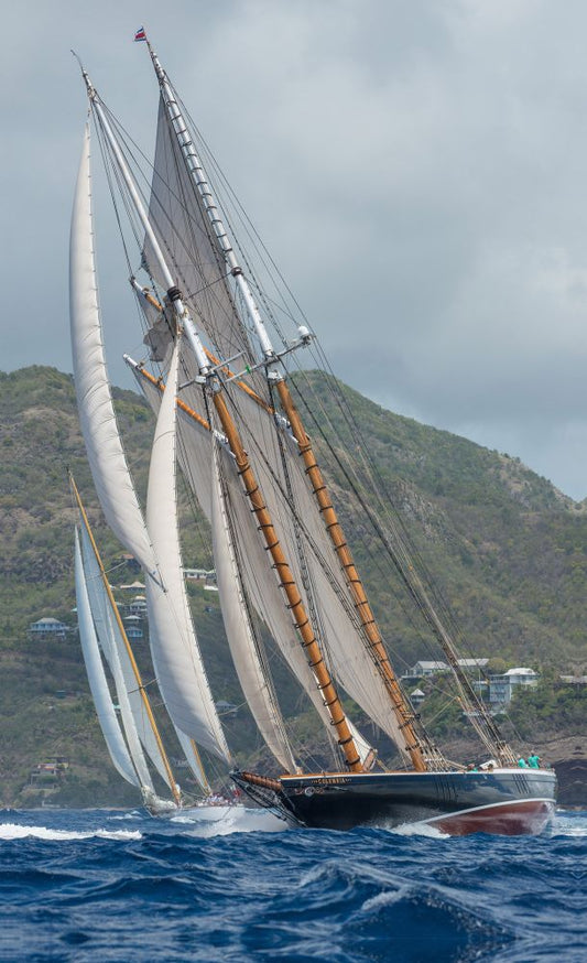 Columbia Pulling Ahead on Boxed Canvas