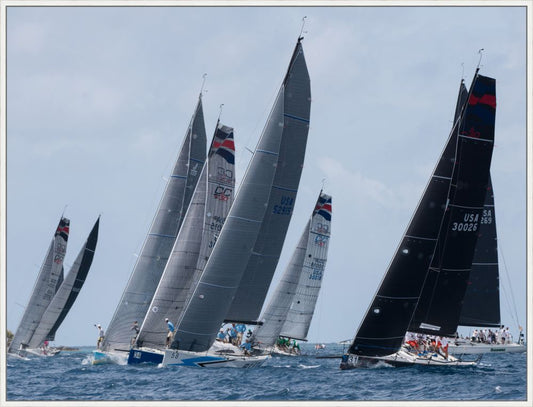 America's cup -the Race on Canvas