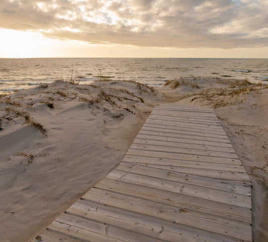 Long Dock in the White Sand on Boxed Canvas