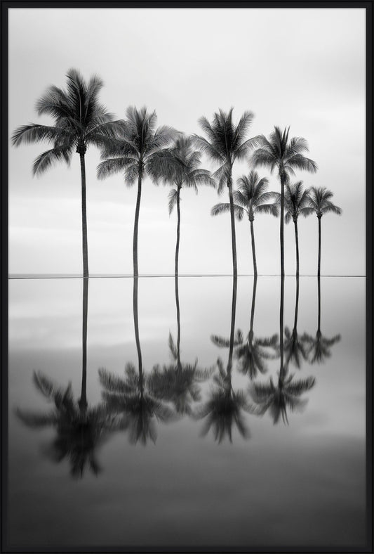 Palm Trees Reflections I