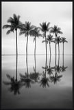 Palm Trees Reflections I