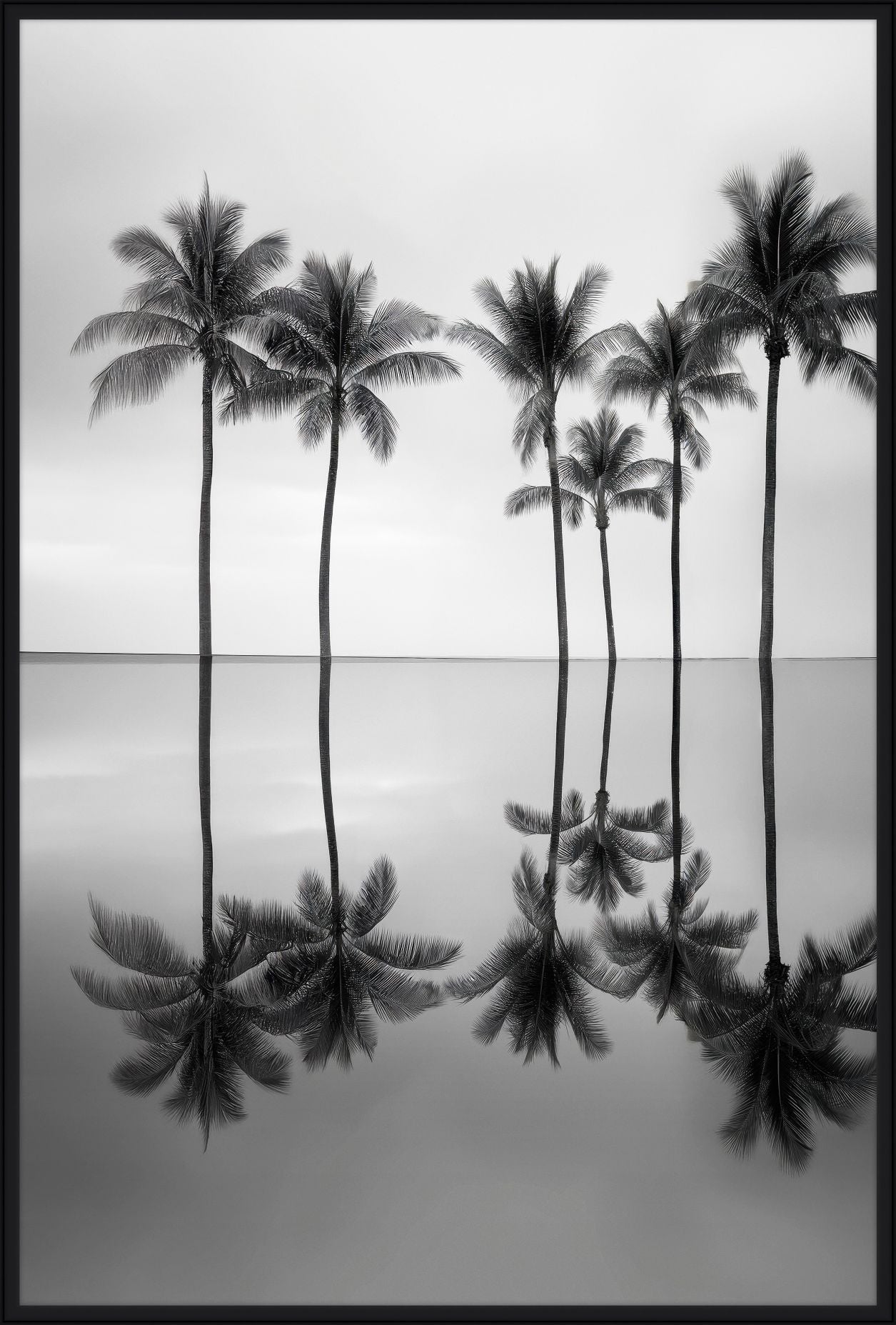 Palm Trees Reflections Ii
