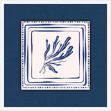 Blue Coral On Blue