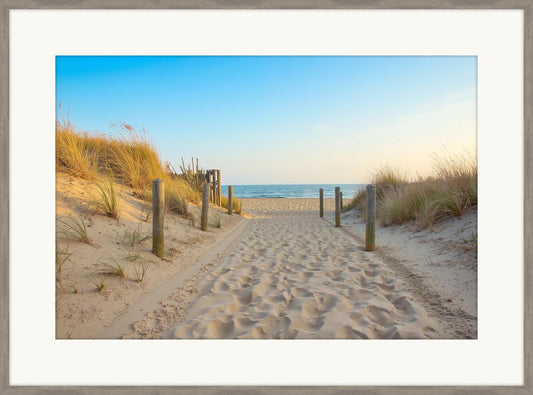 A Walk To The Beach