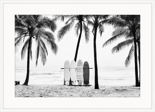 The Boards