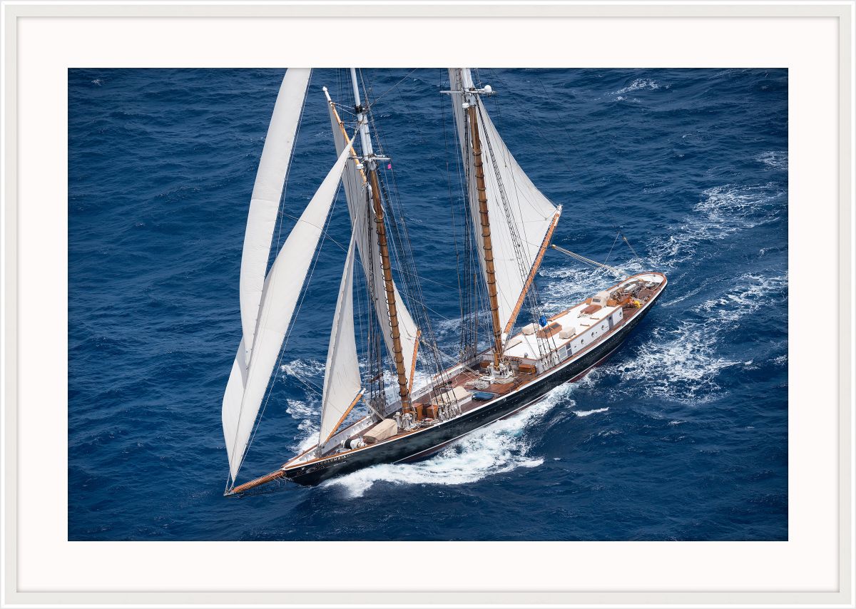 Westerly Winds