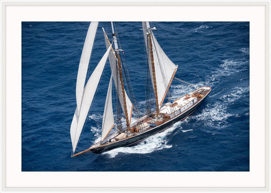 Westerly Winds