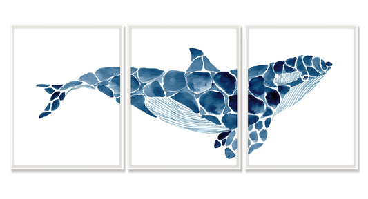 Killer Whale Triptych