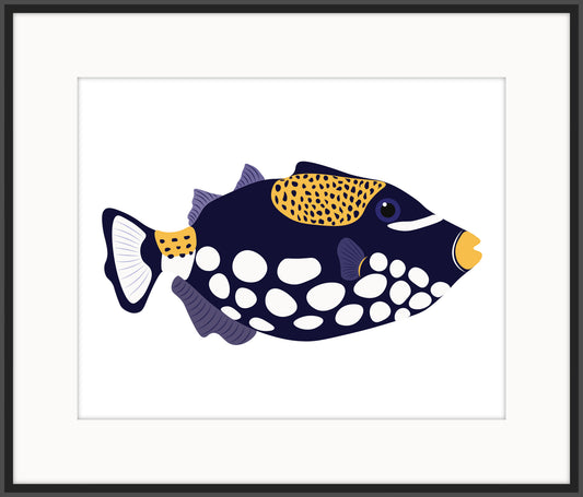 Black Sea Fish