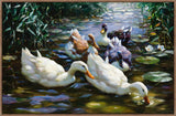 5 Ducks On Canvas