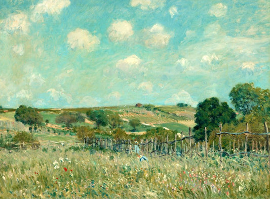 Meadow, Alfred Sisley, 1875 Boxed Canvas