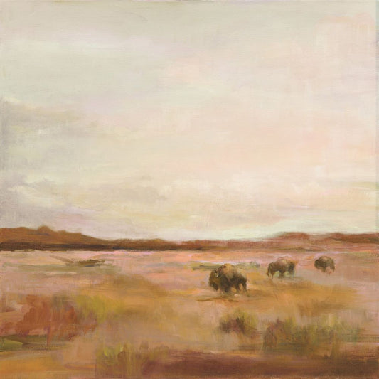 Buffalo Under Big Sky Boxed Canvas