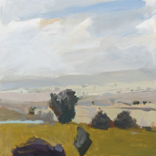 View of the Valley Boxed Canvas