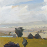 View of the Valley Boxed Canvas