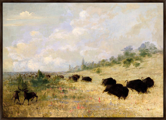 Buffalo and Elk in Texas, George Catlin, 1846-1848 on Canvas