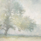 Edge of the Orchard Boxed Canvas