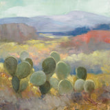 High Desert II Boxed Canvas