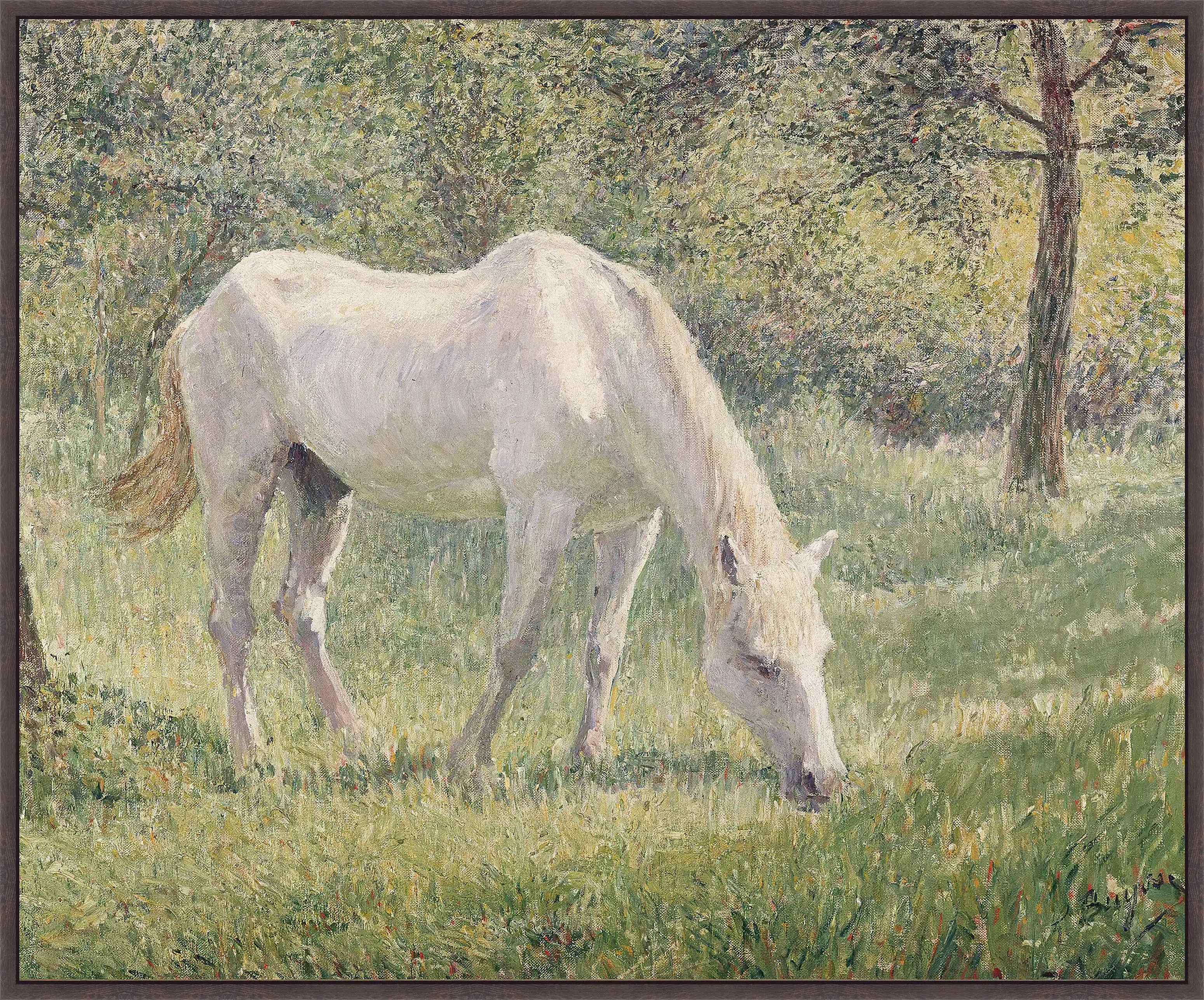 The White Horse On Canvas