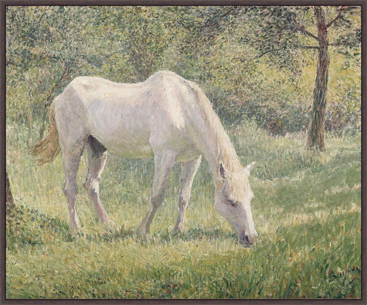 The White Horse On Canvas