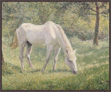 The White Horse On Canvas