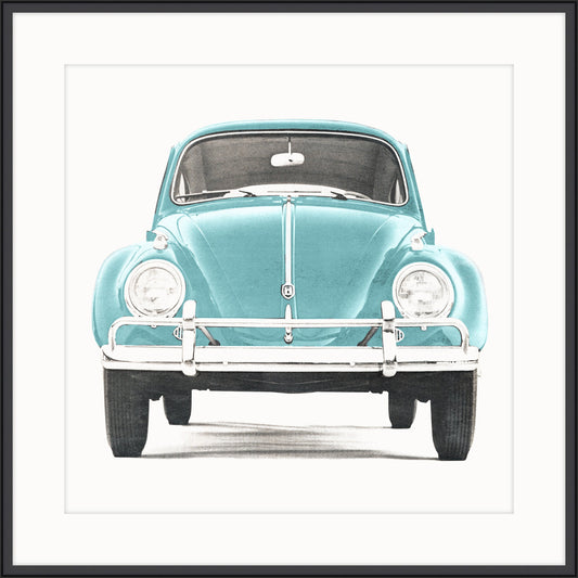 Turquoise Bug