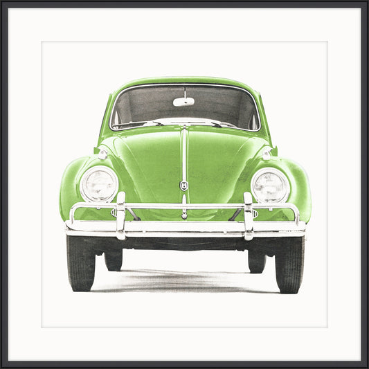 Lime Bug