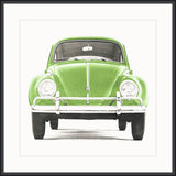 Lime Bug
