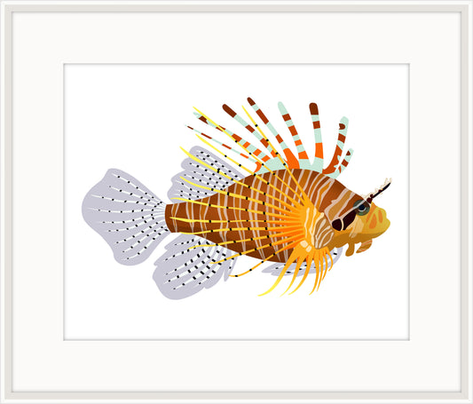 Zebra Fish