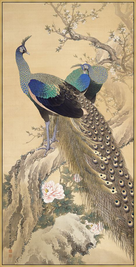 A Pair Of Peacocks In The Spring On Canvas