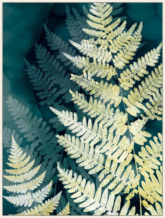 Fern Shadows On Canvas