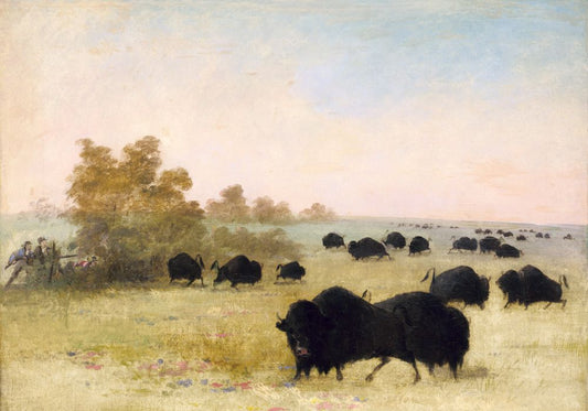 Stalking Buffalo, Upper Missouri, George Catlin, 1846-1848 Boxed Canvas