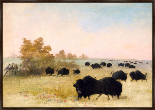 Stalking Buffalo, Upper Missouri, George Catlin, 1846-1848 on Canvas