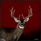 Country Buck At Sunset