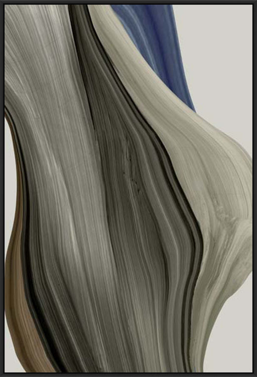 Bark and Shadown I in Black