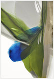 Green and Blue Fluid Harmony in White  Grande