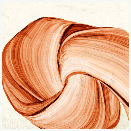 Orange Tango I  in White